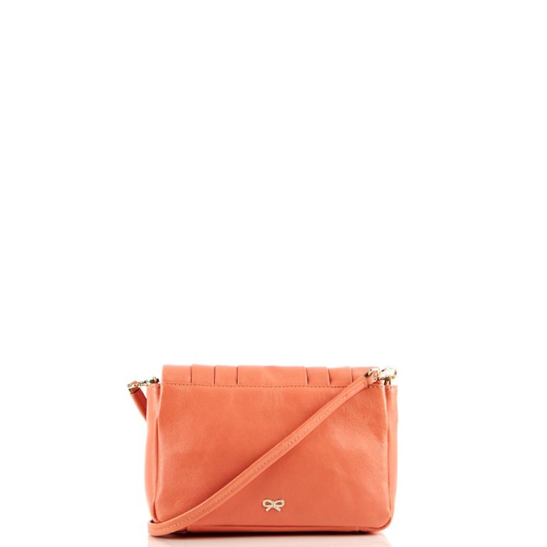 Anya Hindmarch Gracie Bag Handbag Clinic