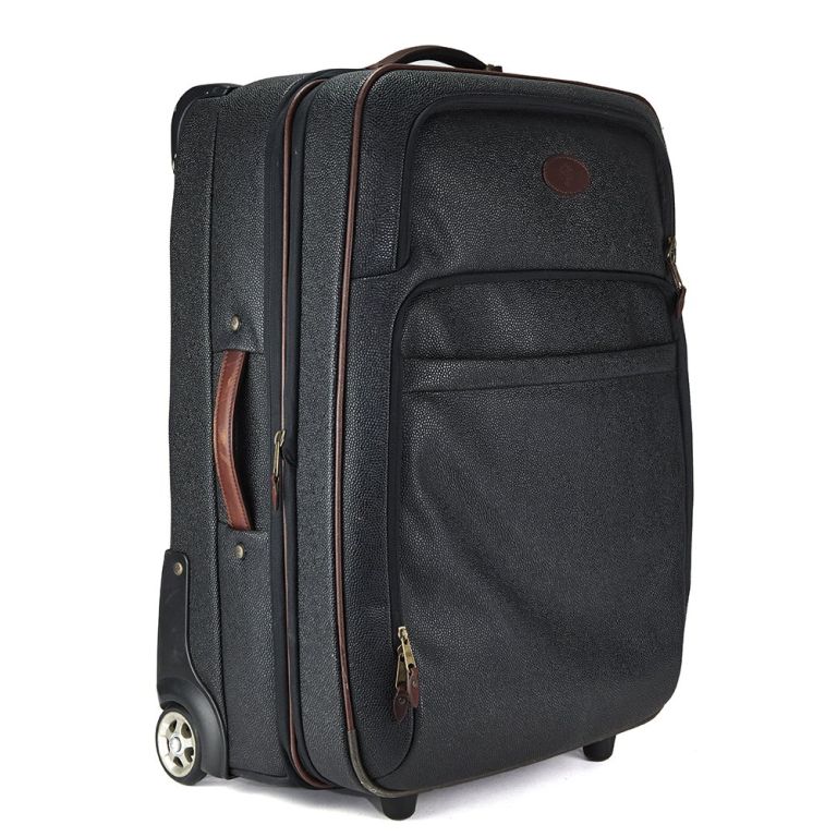 Mulberry Suitcase Handbag Clinic