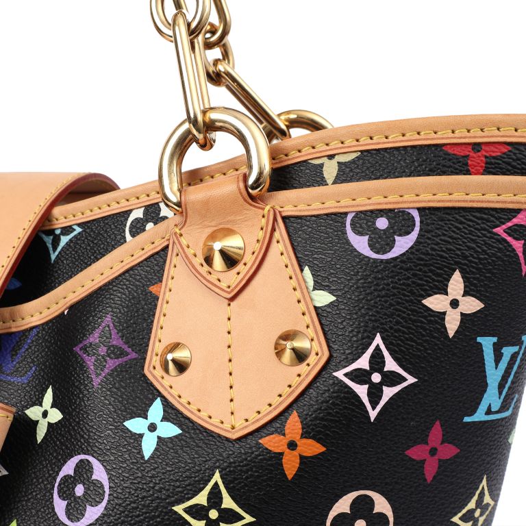 Louis Vuitton **LIMITED TIME PRICE** Annie MM in Multicolor
