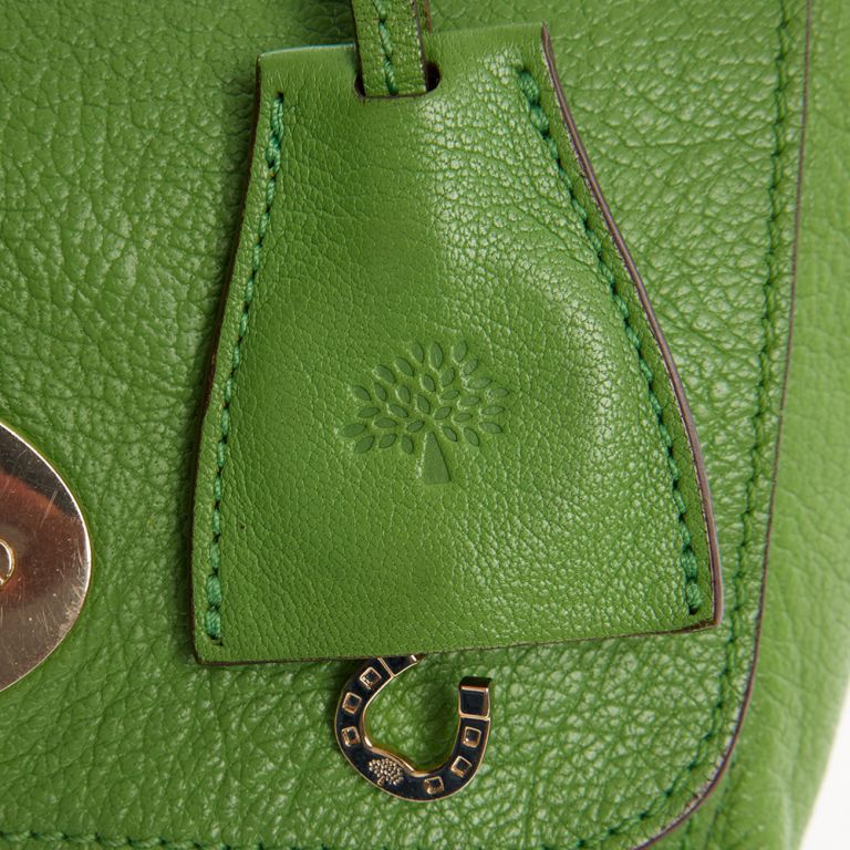 Mulberry Lily Handbag Clinic