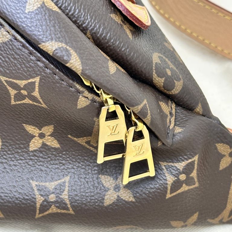 Louis Vuitton Bumbag in Monogram, Canvas Handbag Clinic