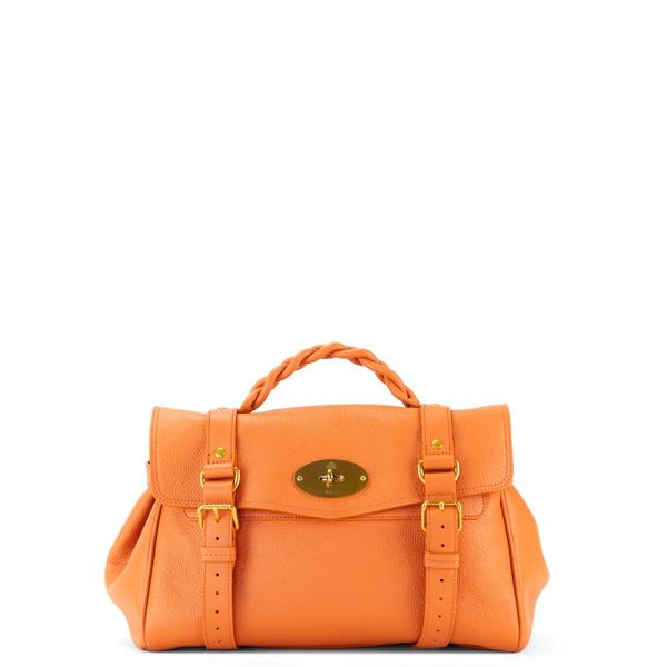 Handbags Mulberry Handbag Clinic