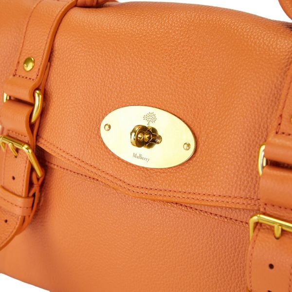 Handbags Mulberry Handbag Clinic